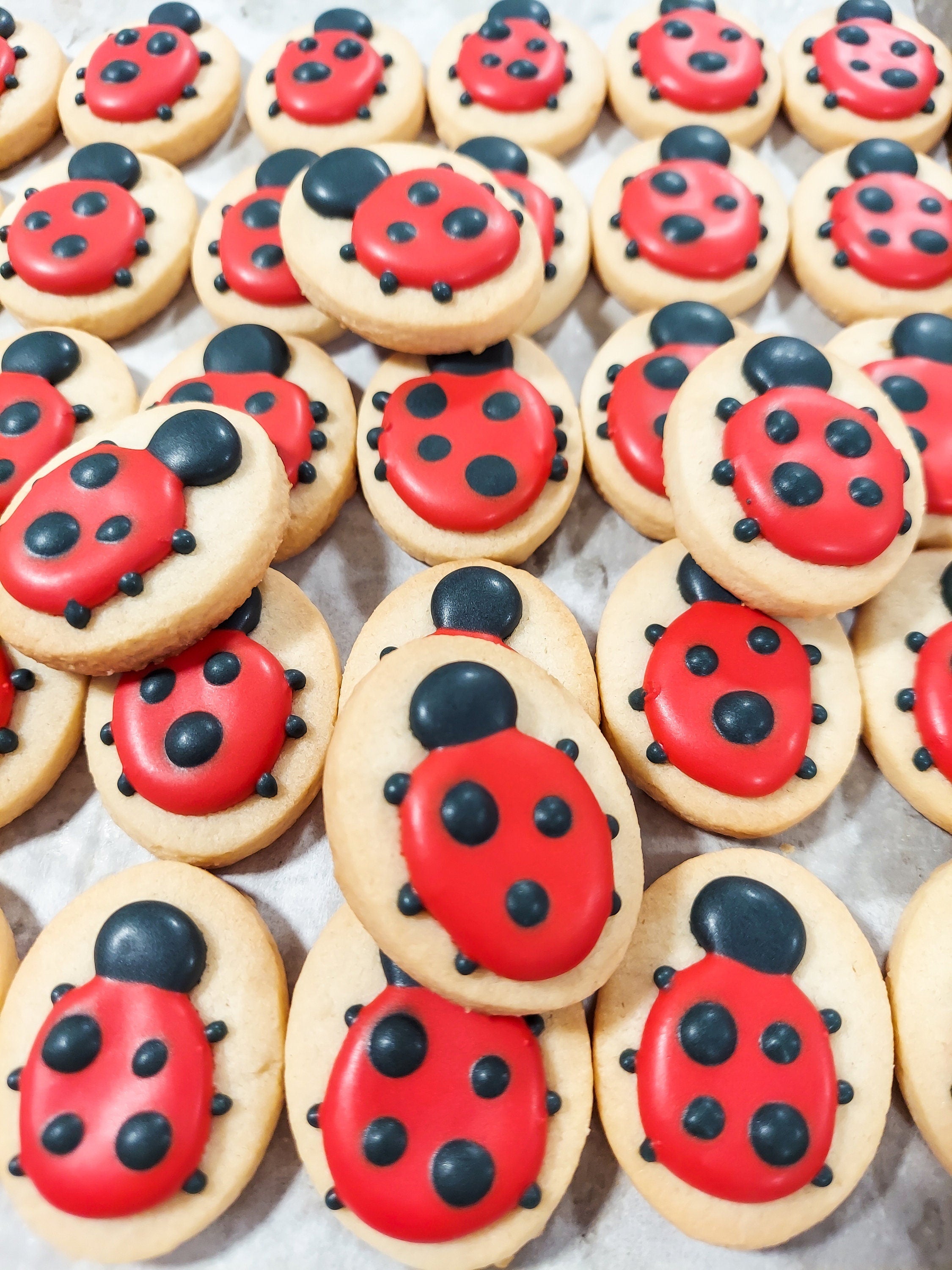 red bug レア ミニミニ クッキー セット Mini Ladybug Cookies (3 dozen) – Storybook Bakery, Shipped!
