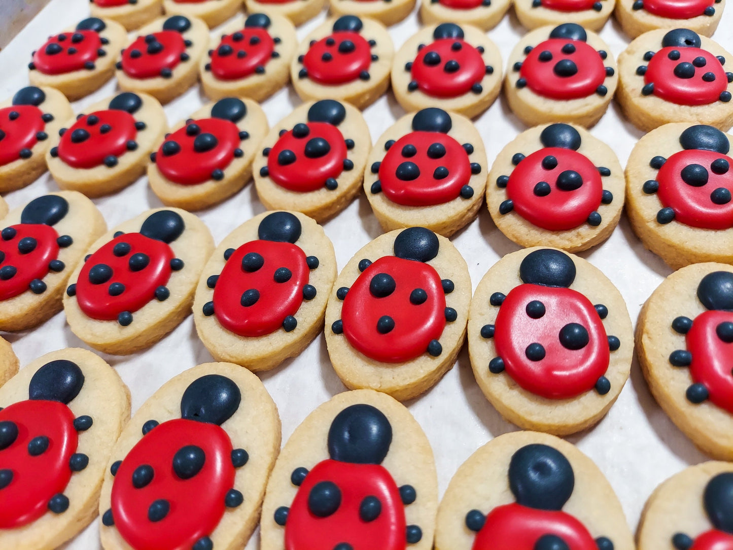 Mini Ladybug Cookies (3 dozen)